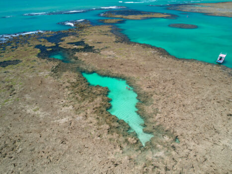 Turismo regenerativo avança no Brasil e propõe impacto positivo na hotelaria