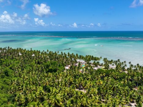 Maragogi. Crédito: Divulgação Civitatis