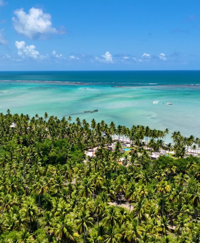 Maragogi. Crédito: Divulgação Civitatis